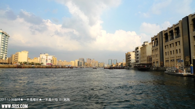 P1180654.jpg
