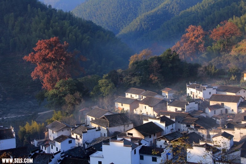 戴村