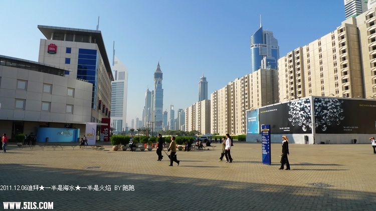 P1180819.jpg