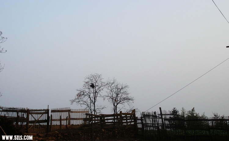 DSC09484.JPG