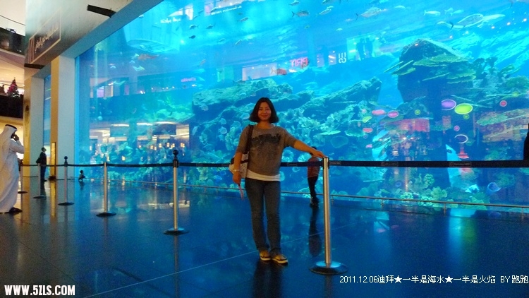 P1180862.jpg
