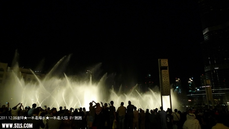 P1180982.jpg