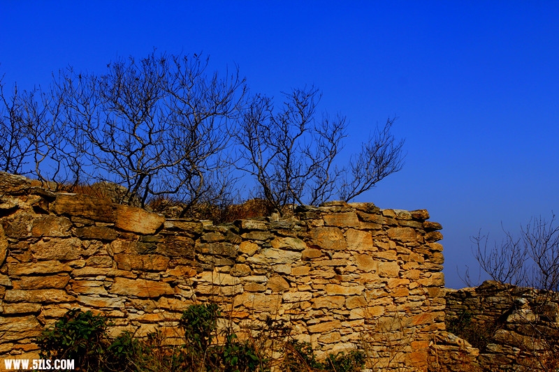 _mg_1087_.jpg
