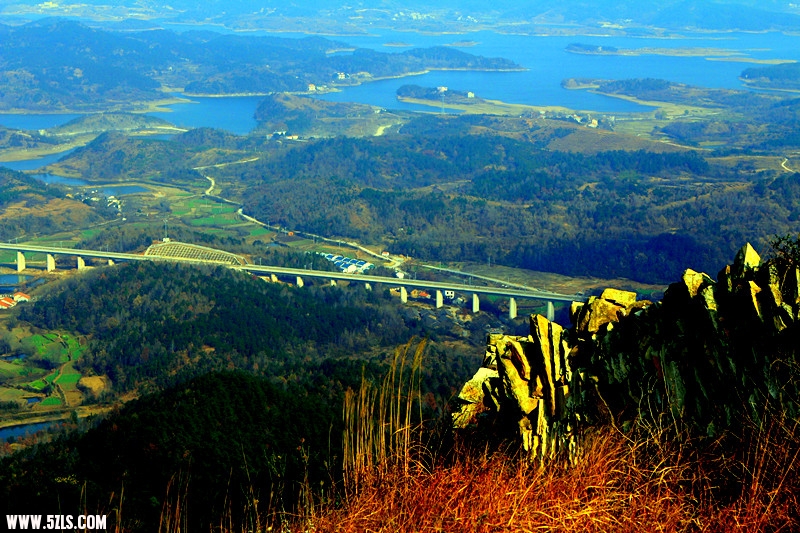 _mg_1176_.jpg