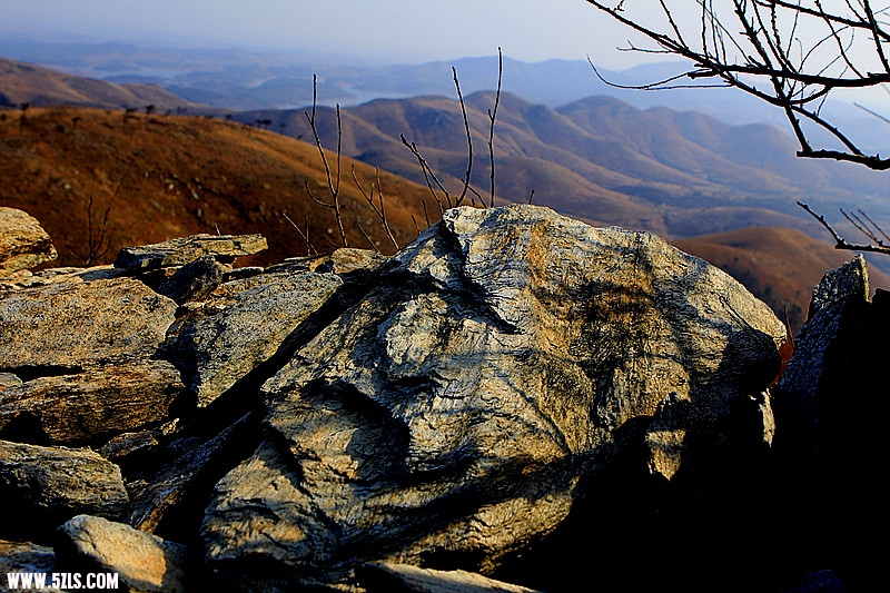 _mg_1196_.jpg