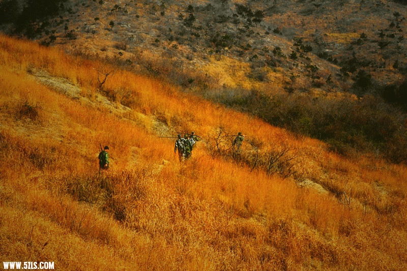 _mg_1043_.jpg