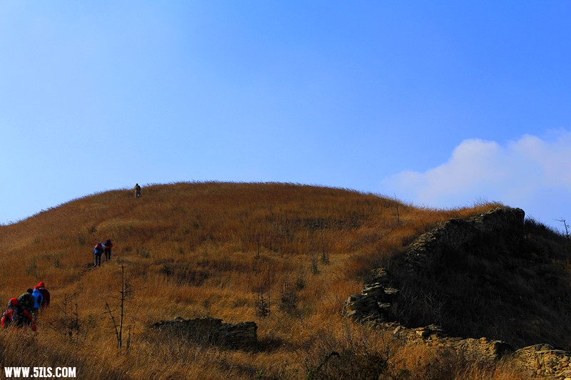 _mg_1170_.jpg