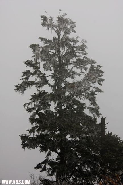 IMG_7272.jpg