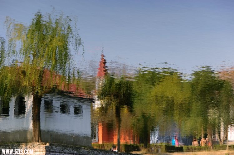  293.jpg