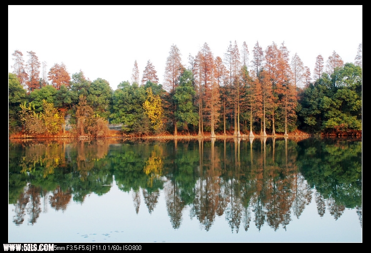 DSC_0309.jpg