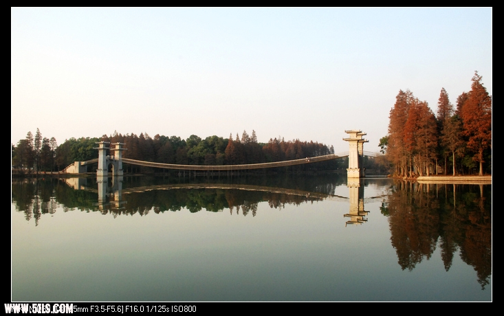 DSC_0259.jpg