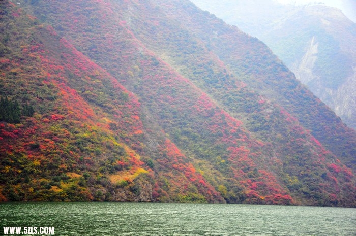 20111217 004_Ӱ_1.jpg