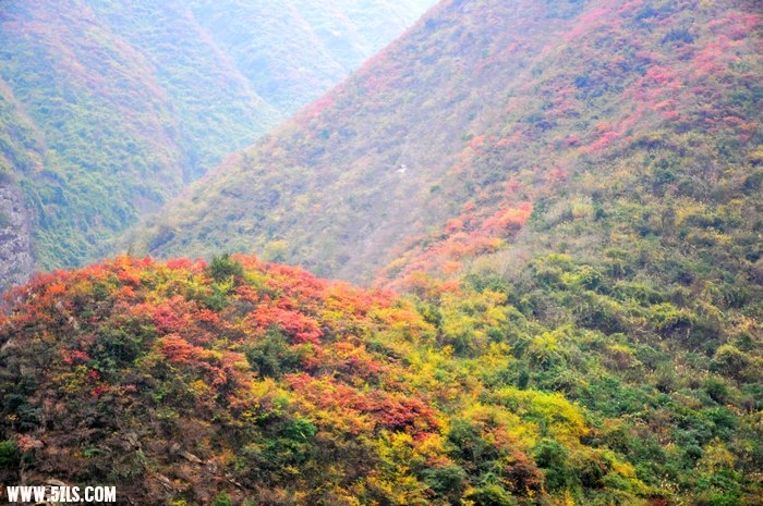 20111217 005_Ӱ_1.jpg