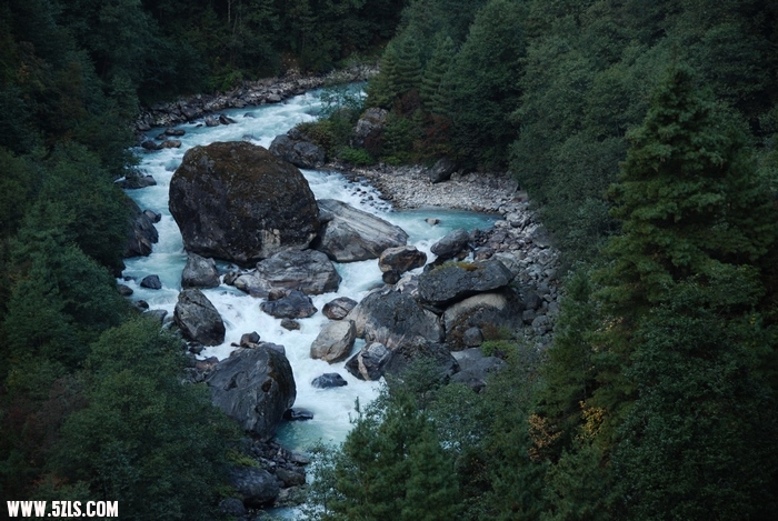 1111080822.jpg