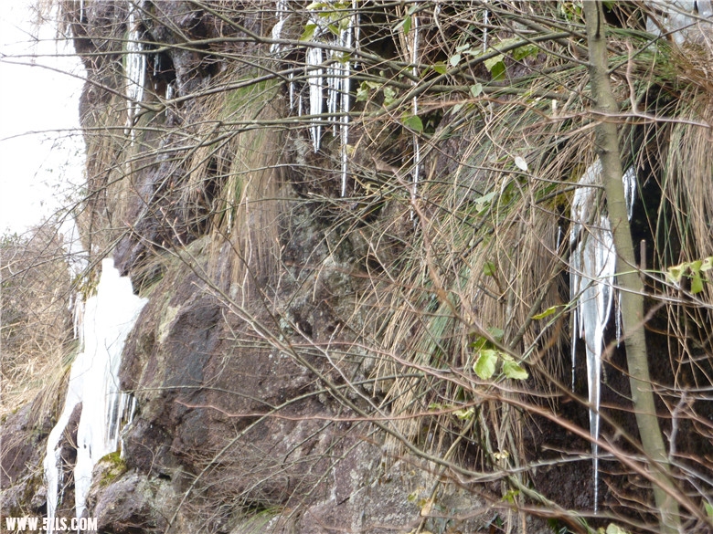 p1100349_.jpg