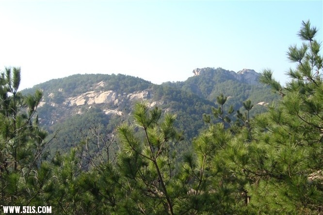 1245.jpg