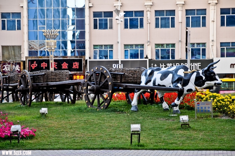 ɶ-295.jpg