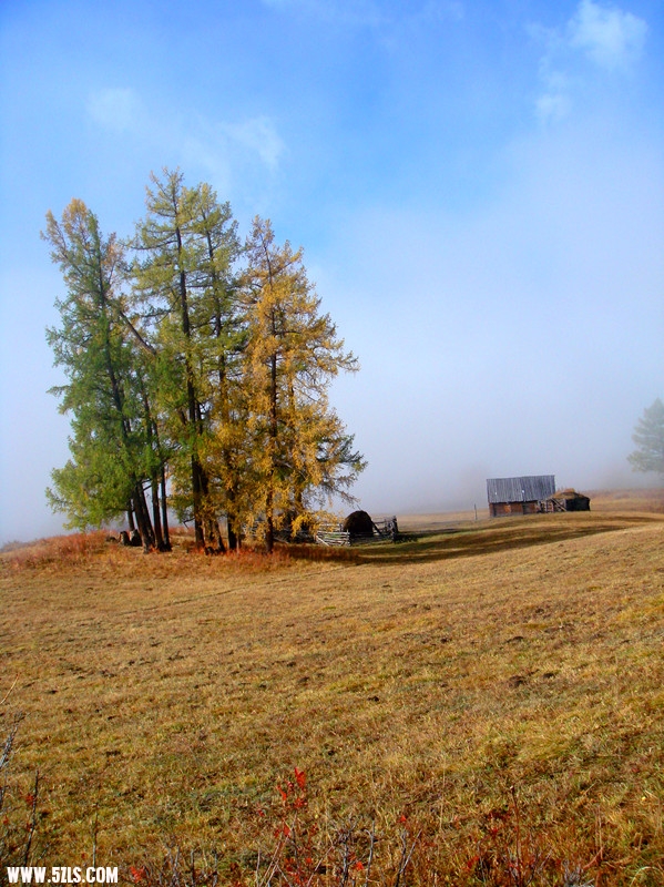 DSC09553_.jpg
