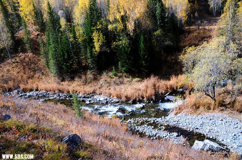 DSC_0724_.jpg