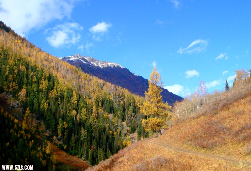 DSC09569_.jpg