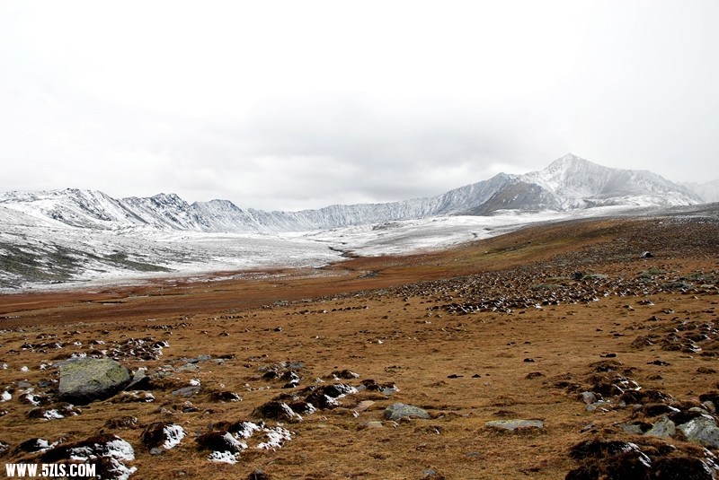 DSC_4391_.jpg
