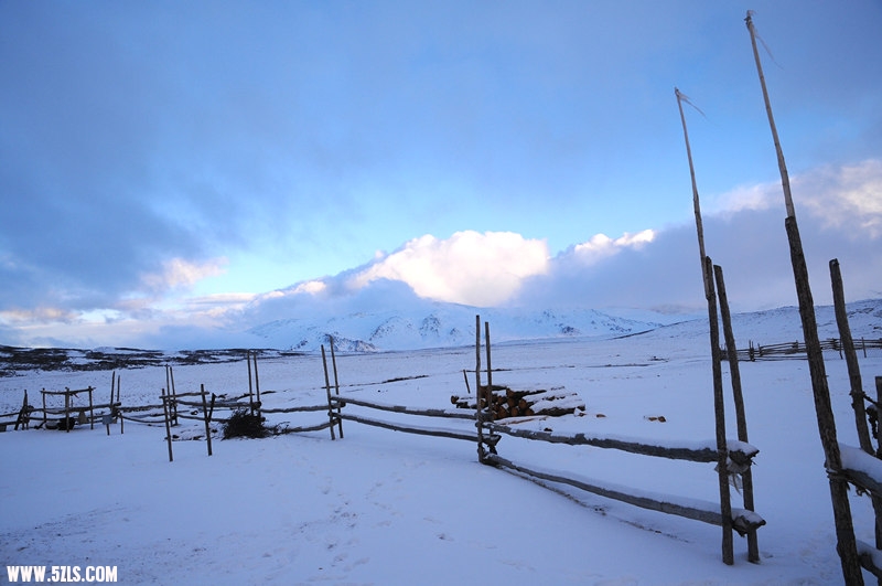DSC_0831.jpg