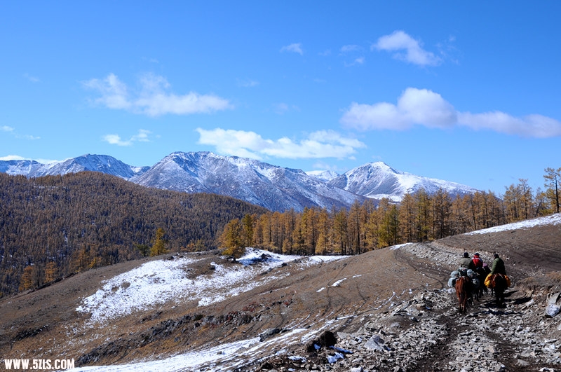 DSC_0956.jpg