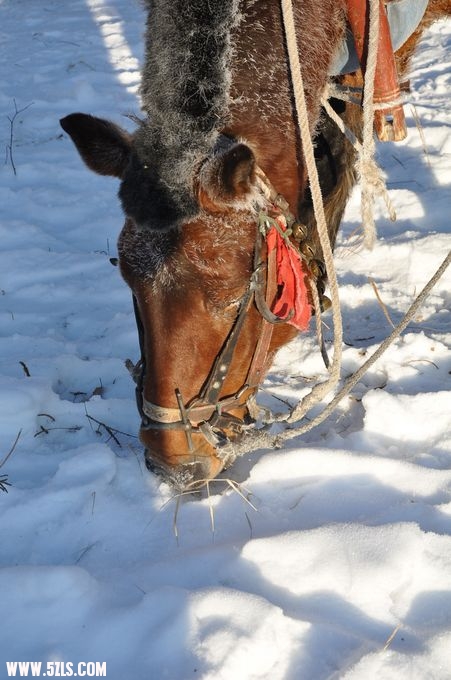 DSC_0088.JPG