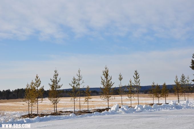 DSC_0166.JPG