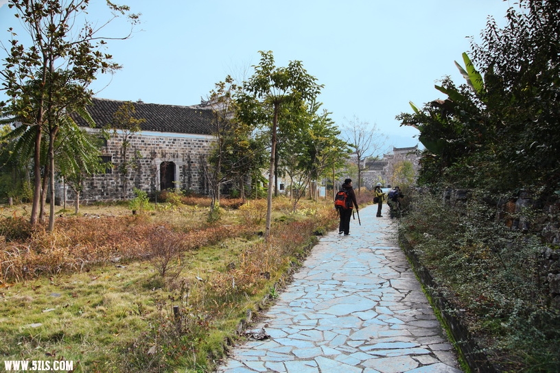 巫山红叶 185.jpg