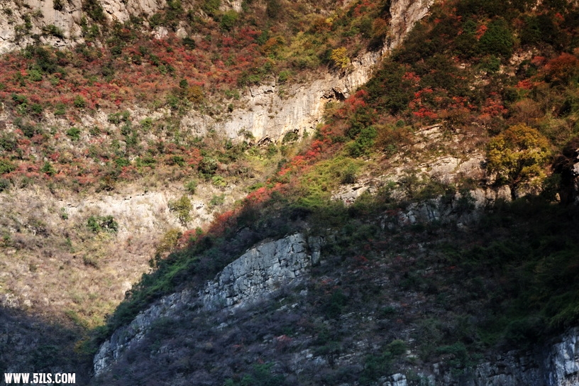 IMG_0177.jpg