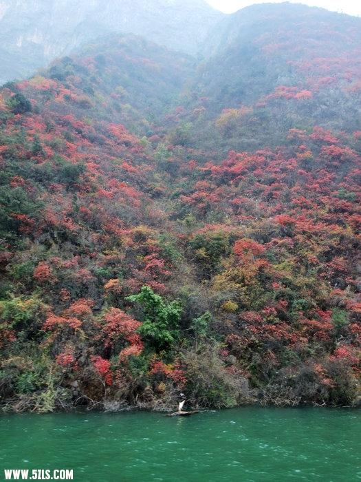 DSCF2570.JPG