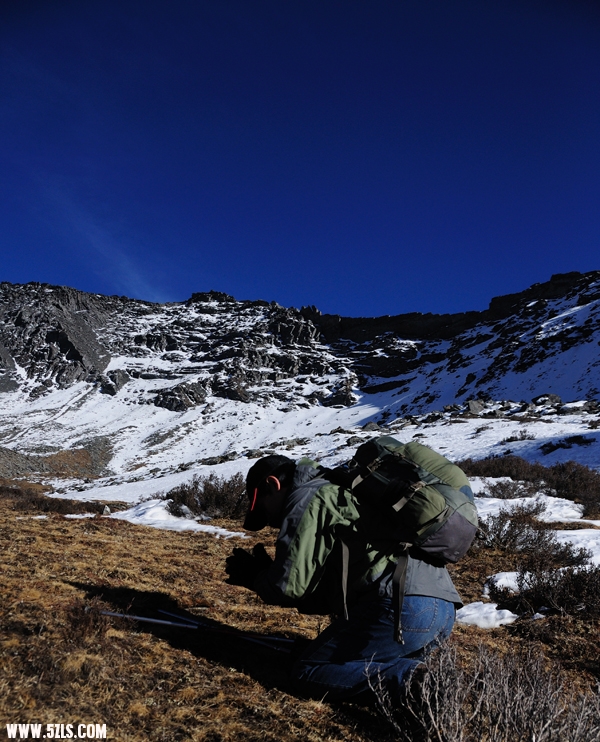 DSC_6718.jpg