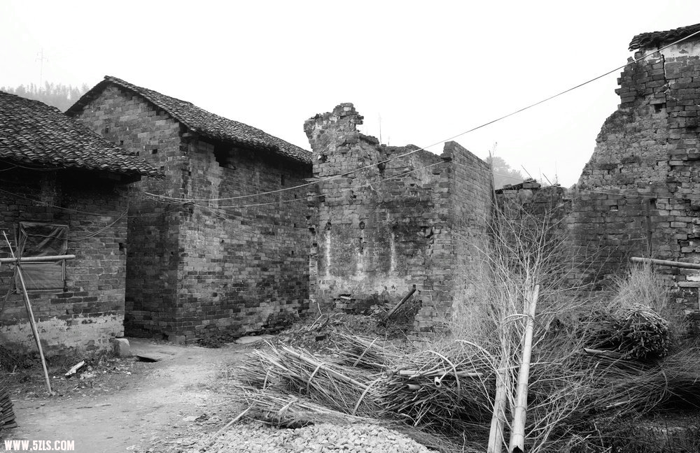 SDIM1495.jpg