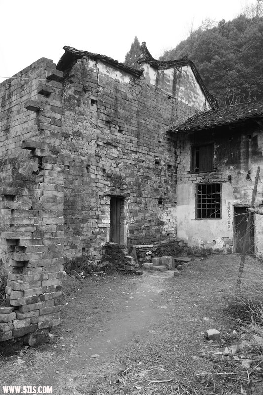 SDIM1497.jpg