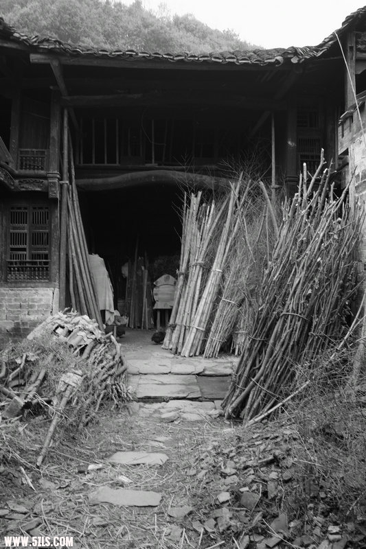 SDIM1499.jpg