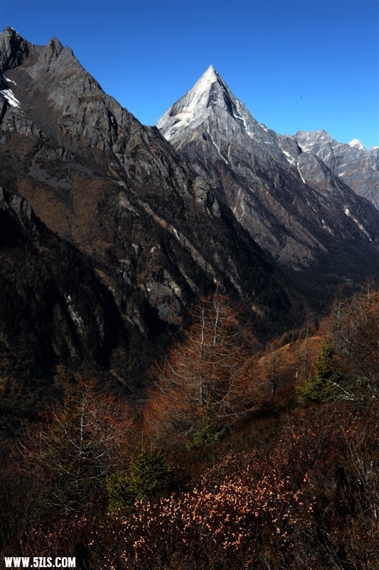 psbCAD6KM80.jpg