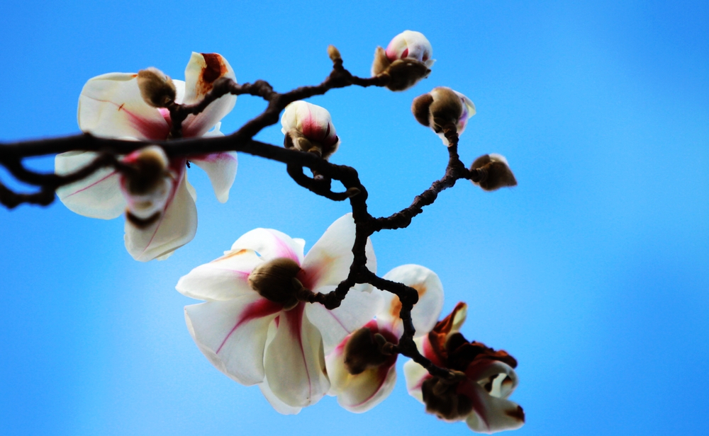 IMG_2012_01_01_6979.jpg