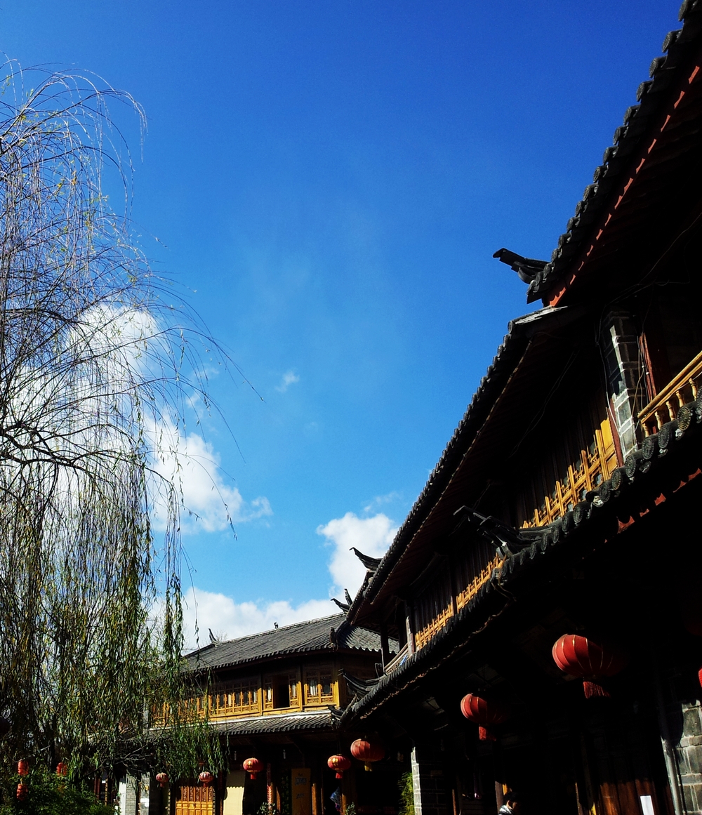20120106_142658.jpg