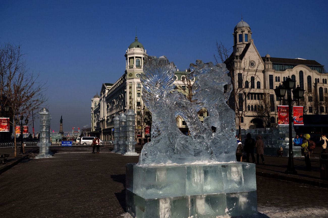 DSC_9419.JPG