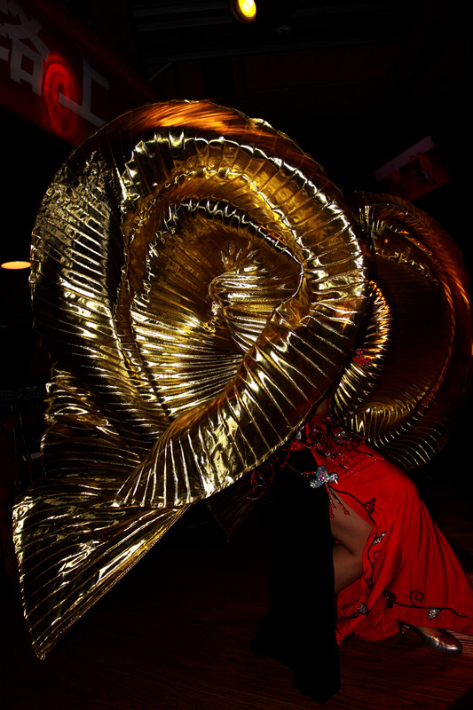 12011215004e8b64737f87553e.jpg