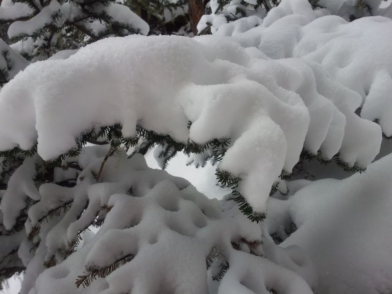 雪厚