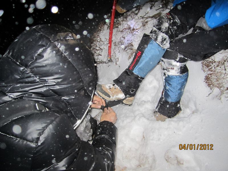 老黑的雪套带子松