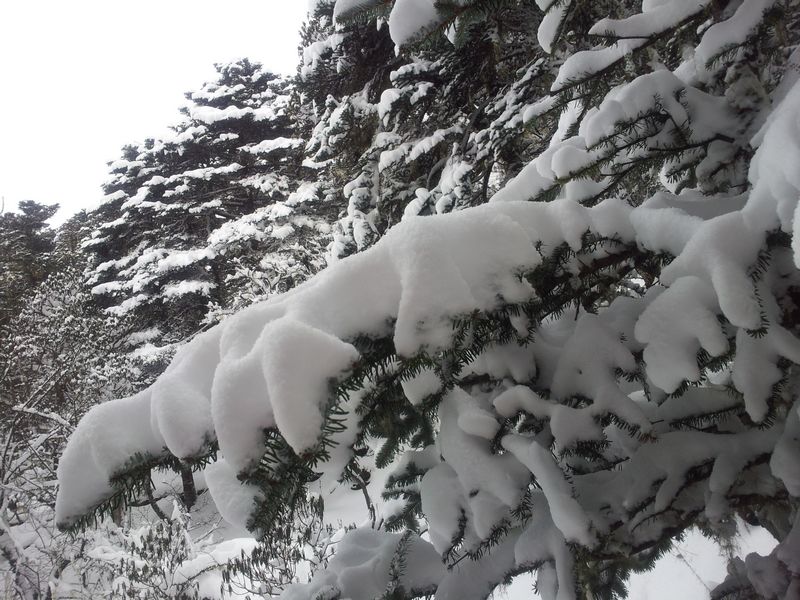 20120105_133012.jpg