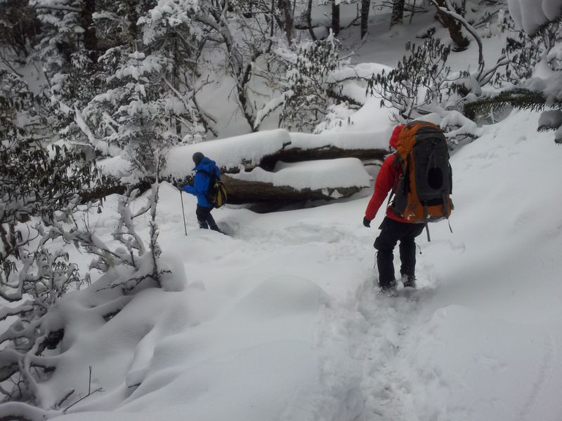 20120105_133016.jpg