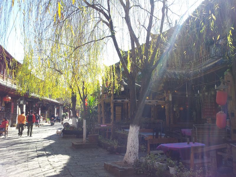 20120106_141345.jpg