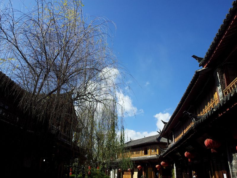 20120106_142658.jpg