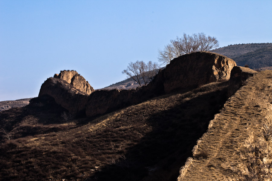 _MG_2577-2-2.jpg