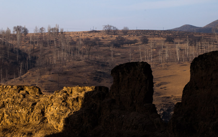 _MG_2623-2-2.jpg