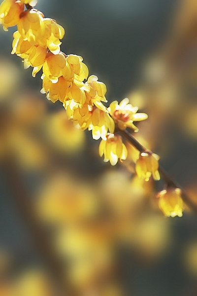 2012 044.jpg